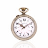 <p>Georges Roskopf - Relógio de Bolso, caixa de metal prateado. Cerca de 44mm de diâmetro. Movimento com corda e ajuste pela coroa (pin-set). Mostrador de porcelana. <em>Observação: os relógios são peças antigas destinadas a fins de colecionismo. Não é garantido o funcionamento, considerando o tempo de fabricação e o caráter histórico das peças. </em></p>