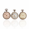 <p>Lote com três Georges Roskopf Extra - Relógio de Bolso, caixas de metal prateado. Cerca de 44mm a 47mm de diâmetro cada. Movimentos com corda e ajuste pela coroa (pin-set). Mostradores esmaltados. <em>Observação: os relógios são peças antigas destinadas a fins de colecionismo. Não é garantido o funcionamento, considerando o tempo de fabricação e o caráter histórico das peças. </em></p>