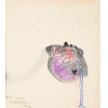 <p>Mabe, Manabu - Sem T&iacute;tulo - Guache e giz de cera s/ cart&atilde;o, 27 x 24 cm, ass. inferior esquerdo, dat. 1976. Com dedicatoria para Ieka. Registrado no Instituto Manabu Mabe</p>