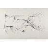 <p>Paulo Garcez - Sem Título, Nanquim s/ papel, 69 x 103 cm, ass. inferior direito, dat. 1975</p> <p>Paulo Garcez - Sem Título, Nanquim s/ papel, 69 x 103 cm, ass. inferior direito, dat. 1975</p>