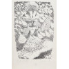 <p>Lívio Abramo - Carnaval, Litografia, 50 x 35 cm, ass. inferior esquerdo, dat. 1982, tiragem 39/50</p> <p>Lívio Abramo - Carnaval, Litografia, 50 x 35 cm, ass. inferior esquerdo, dat. 1982, tiragem 39/50</p>