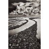 <p>Sebastião Salgado - Ilhas Anavilhanas - Fotografia, 29,7 x 19,8 cm, dat. 2009. Acompanha certificado do artista, edição limitada Sebastião Salgado - Bradesco, sem caixa</p>