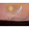 <p>Maria Helena Andrés 2000 - OST - Paisagem Rosa. Mede 40cm x 50cm.</p>