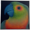 <p>Claudio Tozzi 79 - OST. Mede 65cm x 65cm.</p>