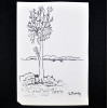 SYLVIO PINTO (1918-1997)<br />Árvore solitária<br />MED: 15 X 11