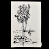 SYLVIO PINTO (1918-1997)<br />Árvore e veleiro<br />MED: 16 X 11