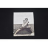 BRECHERET - A linguagem das formas, 2011. IVB-Imprensa Oficial, 2 edição, 28,5x24,5x3 cm