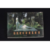 VICTOR BRECHERET - 1894-1955- 1989 Ed. Revan, 23x33x2 cm.