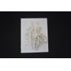FRANS KRAJCBERG - UMA HOMENAGEM, 2017- Galeria Frente SP. 28x22x2 cm.