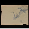 <p>EDGAR WALTER (1917 &ndash; 1994) DESENHO GRAFITE ESTUDO ACAD&Ecirc;MICO: M&Atilde;O ESQUERDA- FIRENZE, 1954. MED: 33 X 24 CM.</p>