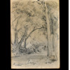 <p>EDGAR WALTER (1917 &ndash; 1994) DESENHO GRAFITE ARVOREDO E CASA. D&Eacute;CADA DE 1950. MED: 16 X 12 CM.</p>