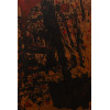 <p>Arthur Barrio - Sem título - tmse - 76 x 112 - csd - 2001</p>