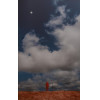 <p>Berna Reale - Enquanto todos olham a lua - Pigmentos naturais sobre papel fotogr&aacute;fico 1/5 - 157 x 100 - 2012 - Apresenta certificado Nara Roesler</p>