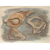 <p>Alice Brill Czapski - Sem título - aquarela - 52 x 69 - cid - 1996</p>