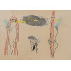 <p>Leonilson - Sem título - pastel seco sobre papel - 35 x 5 - canto inferior esquerdo - 1985</p><br /><p>Obra certificada e registrada e no Projeto Leonilson</p> <p>Leonilson - Sem título - pastel seco sobre papel - 35 x 5 - canto inferior esquerdo - 1985</p><br /><p>Obra certificada e registrada e no Projeto Leonilson</p>