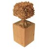 <p>José Bento - Árvore - madeira - 35 cm - assinada</p> <p>José Bento - Árvore - madeira - 35 cm - assinada</p>
