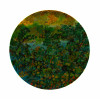 <p>Iracema Arditi - Entre folhas - óleo sobre tela - 60 cm diâmetro - canto inferior direito - 1987</p>