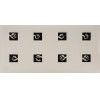 <p>Waltércio Caldas - Studies on will - gravura em metal 4/5 - 200 x 97 - canto inferior direito - 1978/2009</p>