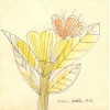 <p>Aldemir Martins - Flor e borboleta - nanquim aquarelado - 20 x 20 - canto inferior direito - 1962 - Apresenta certificado do Instituto</p> <p>Aldemir Martins - Flor e borboleta - nanquim aquarelado - 20 x 20 - canto inferior direito - 1962 - Apresenta certificado do Instituto</p>