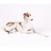 <p>Escultura de porcelana - &ldquo;C&atilde;o Borzoi&rdquo; medindo 13 cm alt x 26 cm larg..{com restauro}</p>
