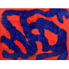 <p>OSMAR SANTOS - Abstrato - OST. 60 x 80 cm.</p> <p>OSMAR SANTOS - Abstrato - OST. 60 x 80 cm.</p>