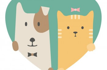 Pets: 4 dicas para manter a casa limpa