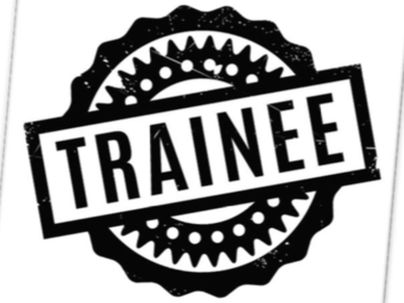 AVALIAÇÃO DOS PROFESSORES DA EB PELOS TRAINEES