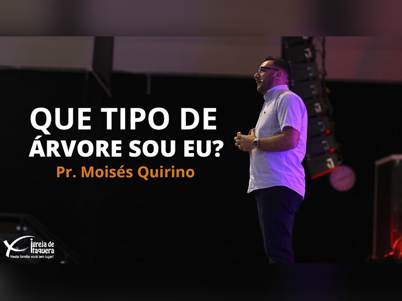 Que tipo de árvore sou eu?