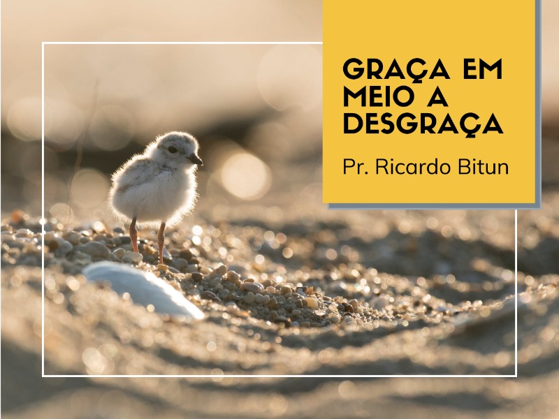 14/06/2020 - Graça em meio a desgraça