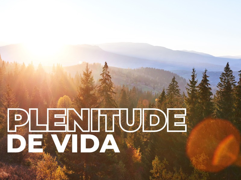 Plenitude de vida
