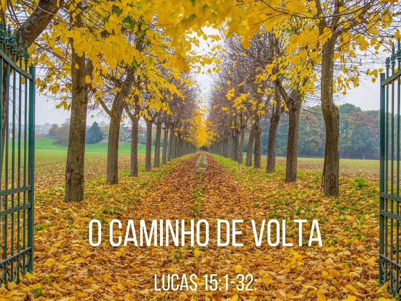 O Caminho de Volta