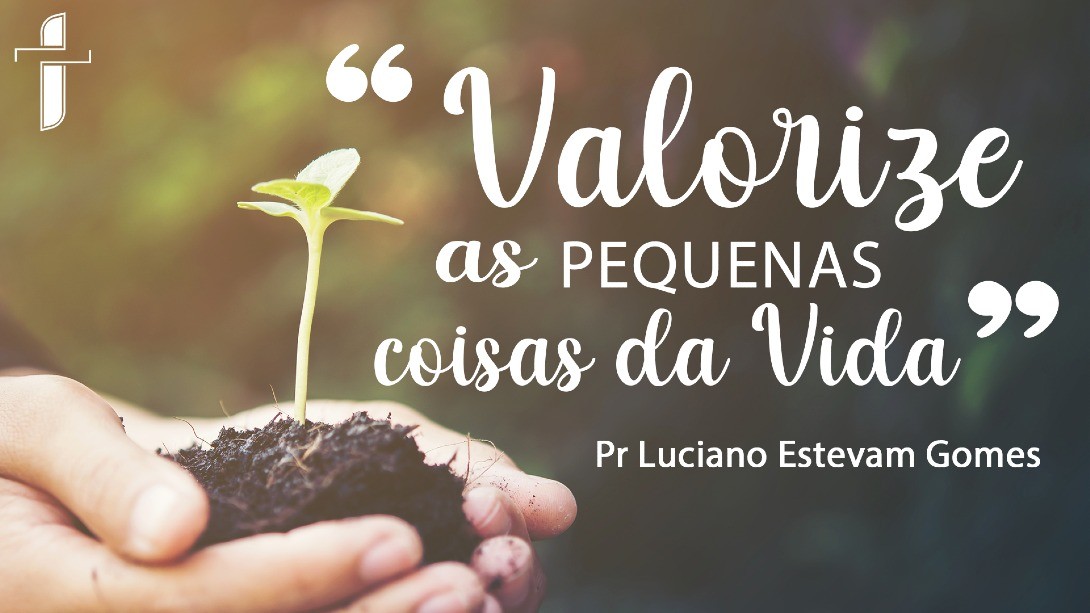 Valorize as Pequenas Coisas da Vida