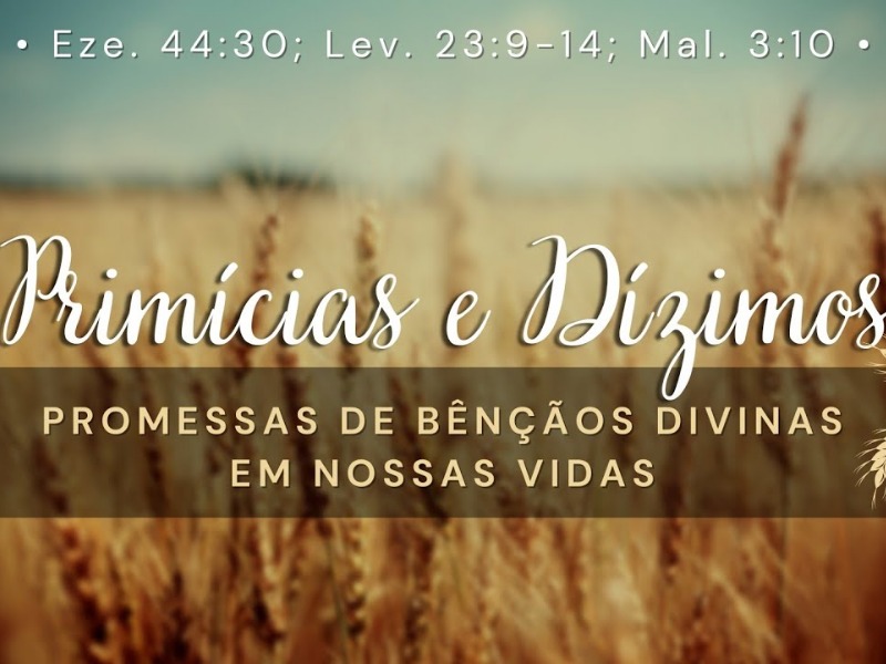 Primícias e Dízimos: promessas de bênçãos divinas em nossas vidas
