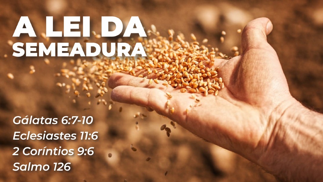 A Lei da Semeadura