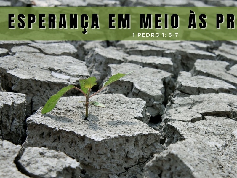 Esperança em Meio às Provações