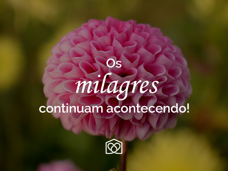 Os milagres continuam acontecendo!