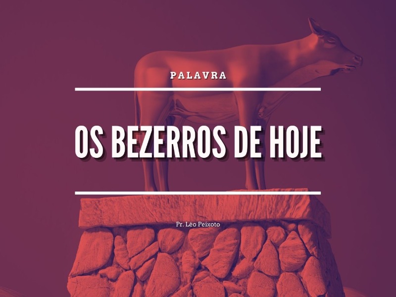 Os Bezerros de Hoje