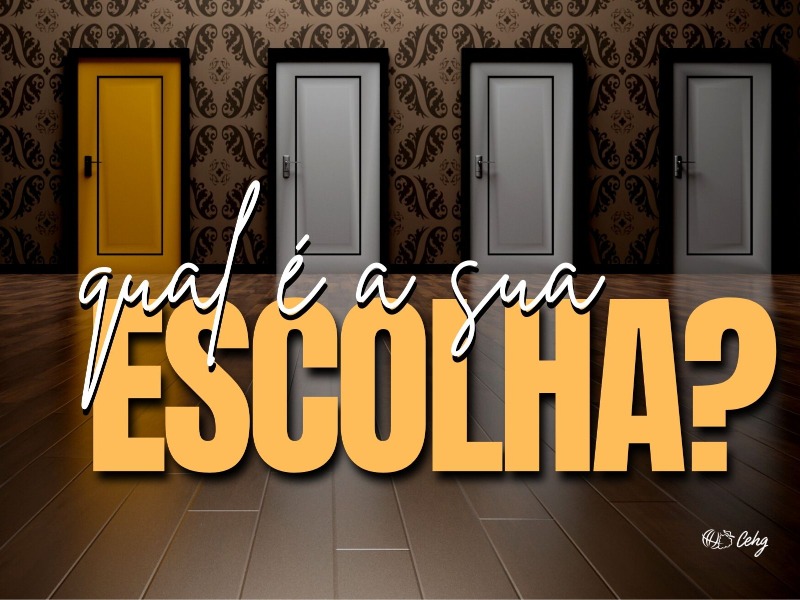 Qual é a sua escolha?