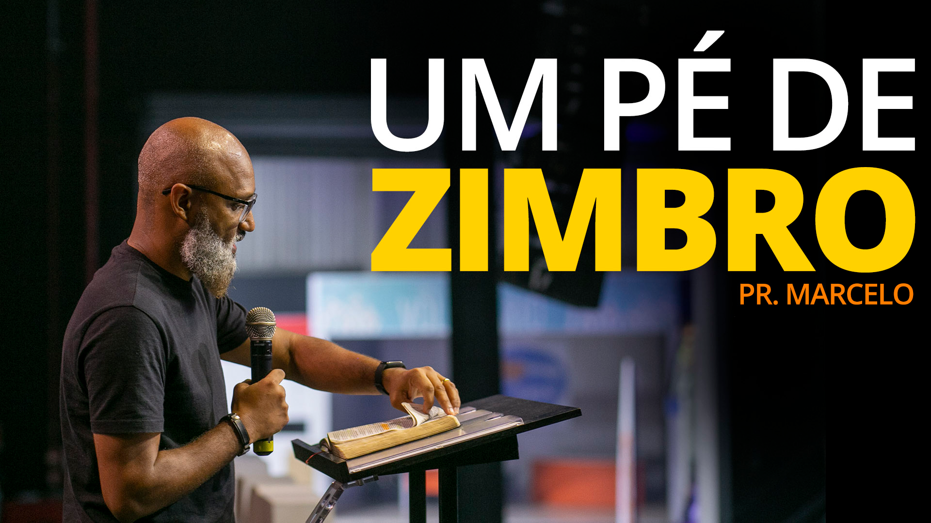 UM PÉ DE ZIMBRO