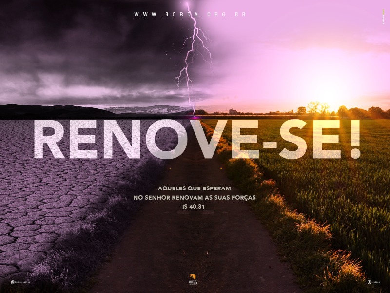 RENOVE-SE