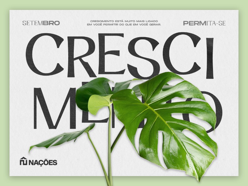 Crescimento