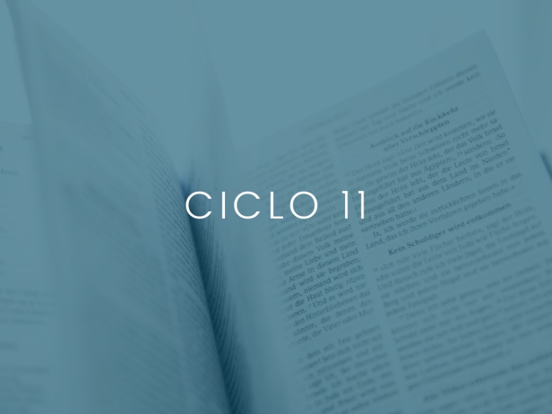 Plano Anual | 11º MÊS