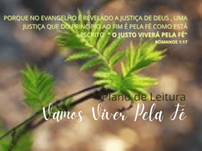 Plano de Leitura semanal - Vamos viver pela Fé!