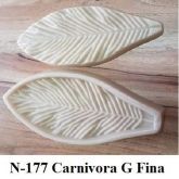 Carnivora G Fina(n-177)