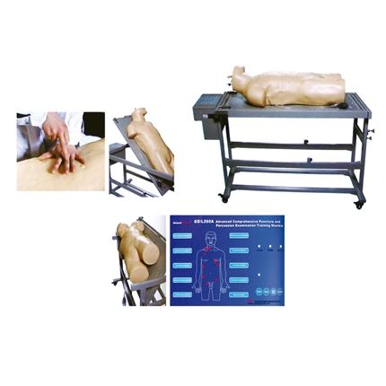 Manequim Avançado de Treinamento Punção Abdominal e Exame de Percussão -CS/AT/ TGD 4026-A