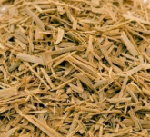 Unha De Gato 100g