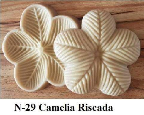 Camélia Riscada(n-29)