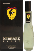 Perfume importado  de ótima qualidade, 55 ml. Frete grátis.