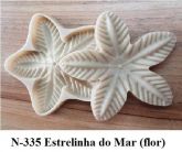 Estrelinha do mar(n-335)
