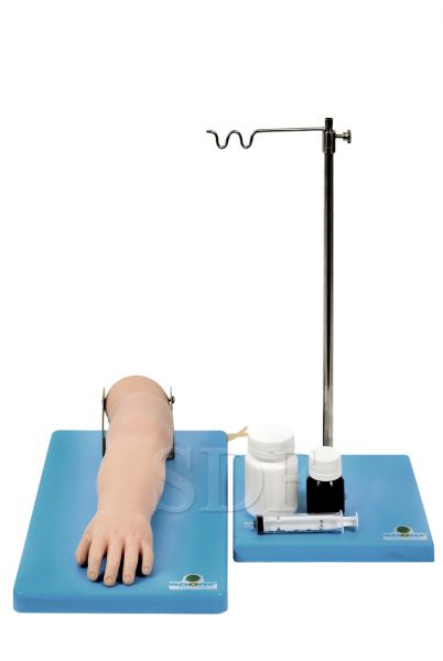 Braço Avançado P/ Punção Venosa Infantil-CS/SD-4031/C